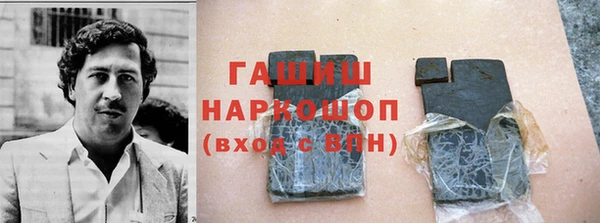 индика Балахна