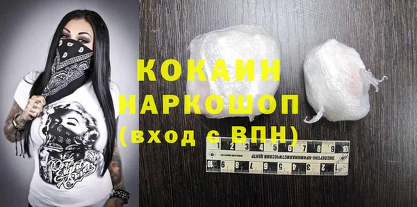 индика Балахна