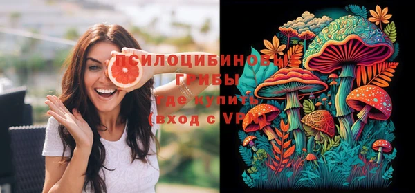 дурь Аркадак