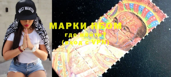 индика Балахна